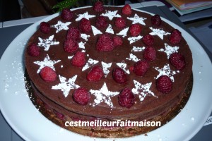 Crousti-fondant au chocolat et aux framboises