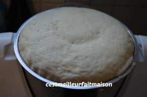 Pâte à pizza