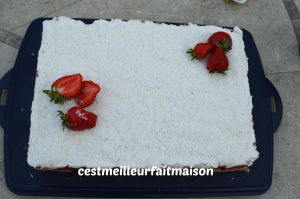 Gâteau noix de coco vanille fraise