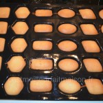 financiers