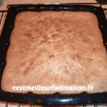 gâteau choco coco