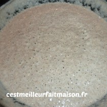 levain liquide