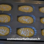 Madeleines