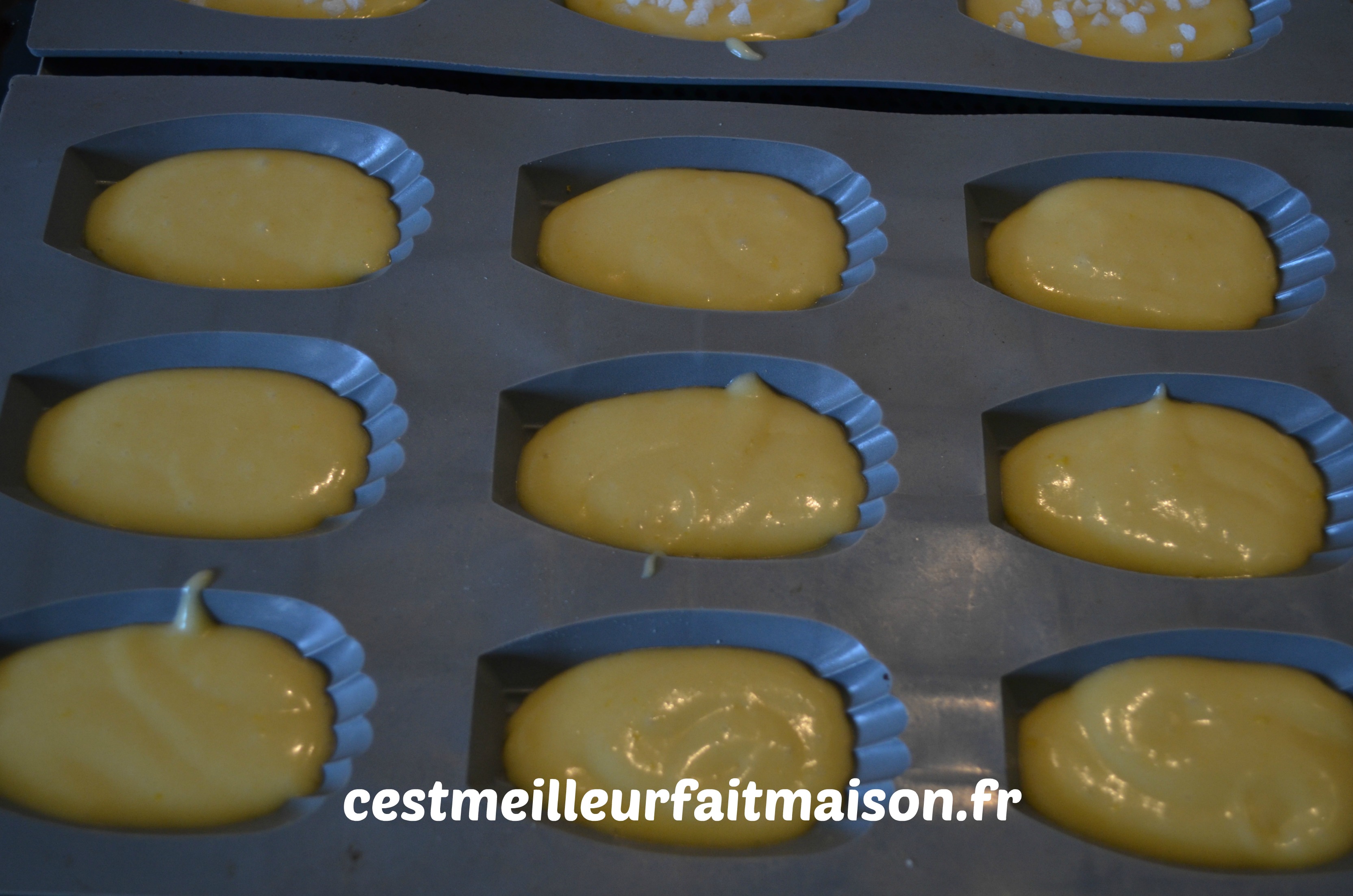 Madeleines