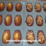 Madeleines