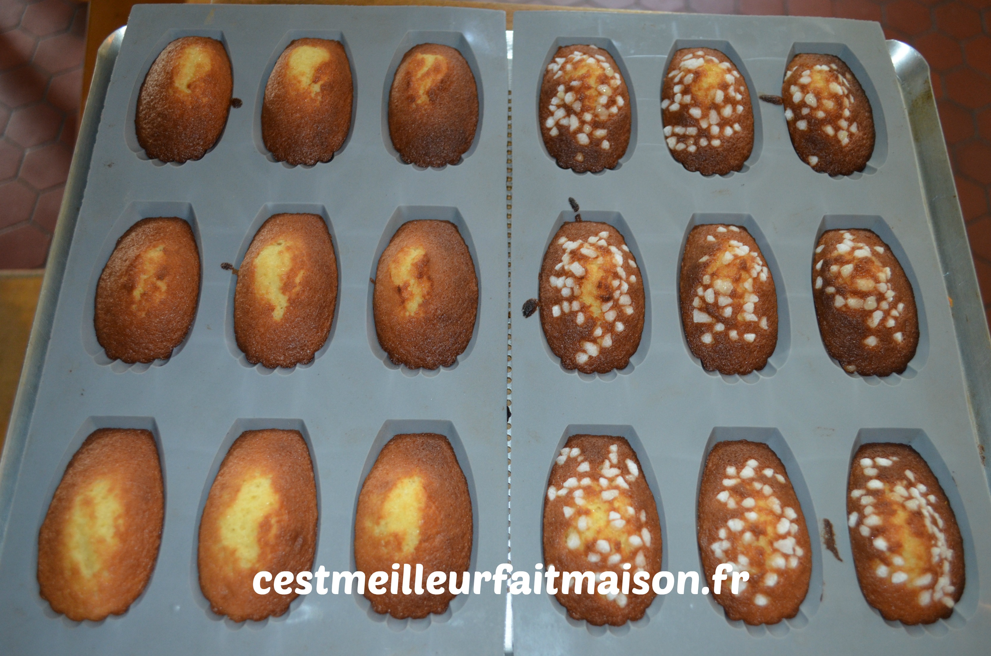 Madeleines