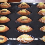 Madeleines