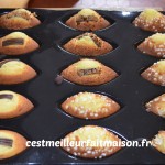 Madeleines