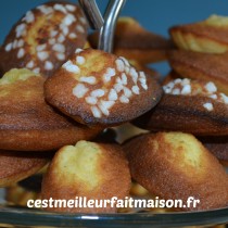 Madeleines