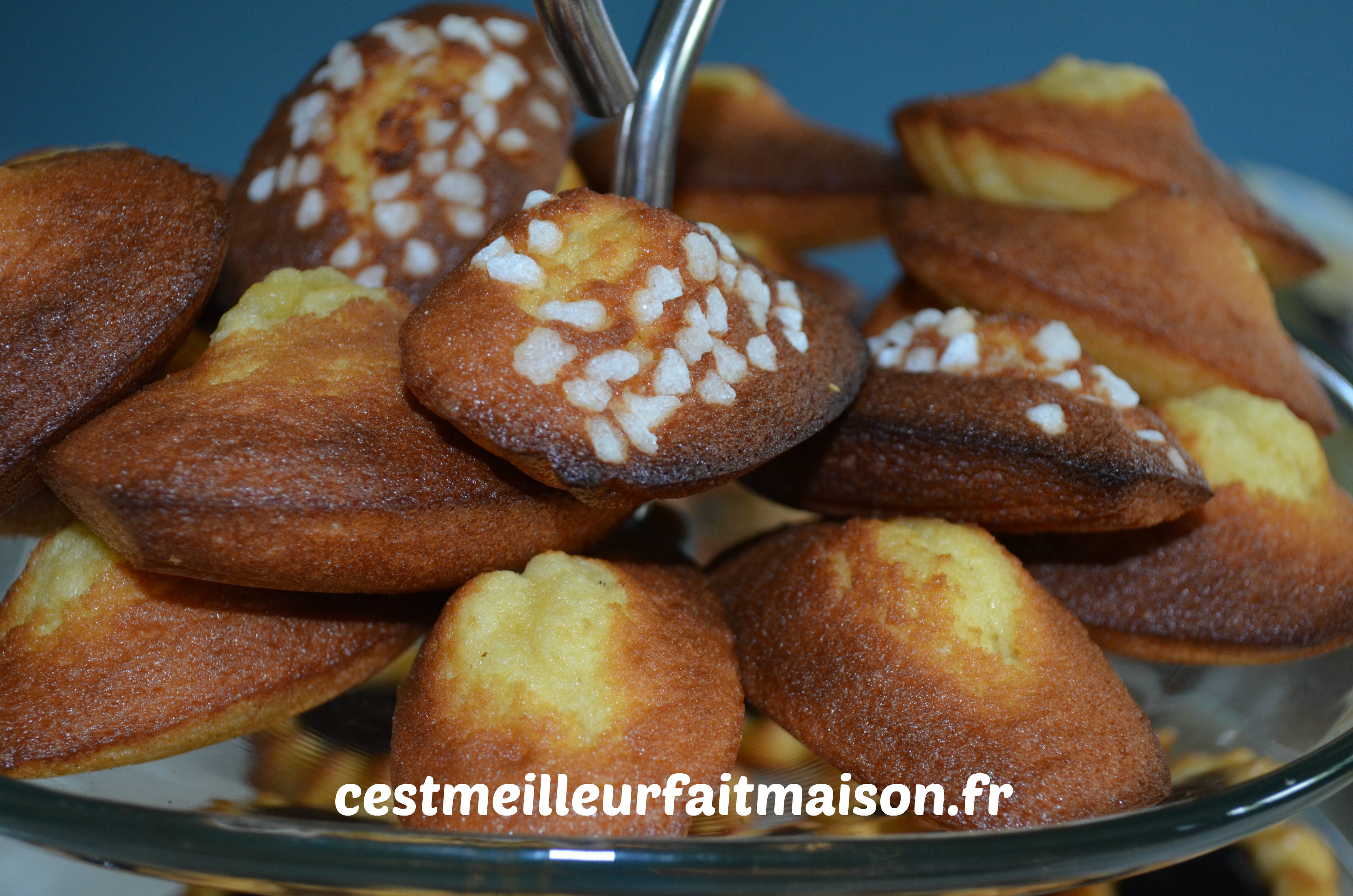 Madeleines