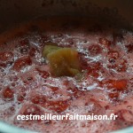 Confiture fraises framboises