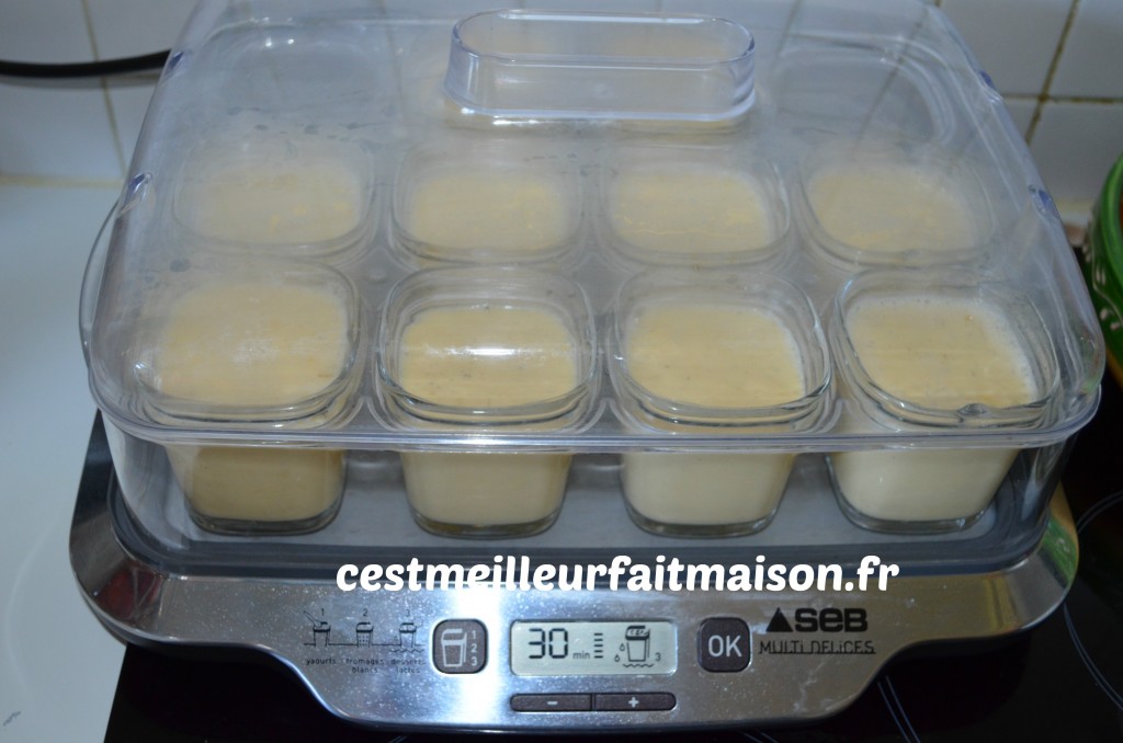 Crème dessert aux œufs et à la vanille (Multidélices) – C'est meilleur