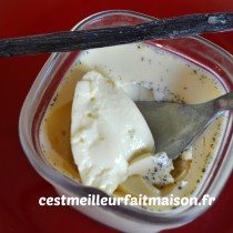 Crèmes dessert aux œufs et à la vanille
