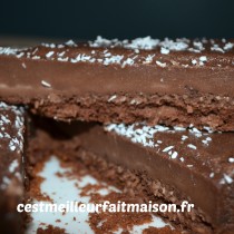 Gâteau magique au chocolat et à la noix de coco