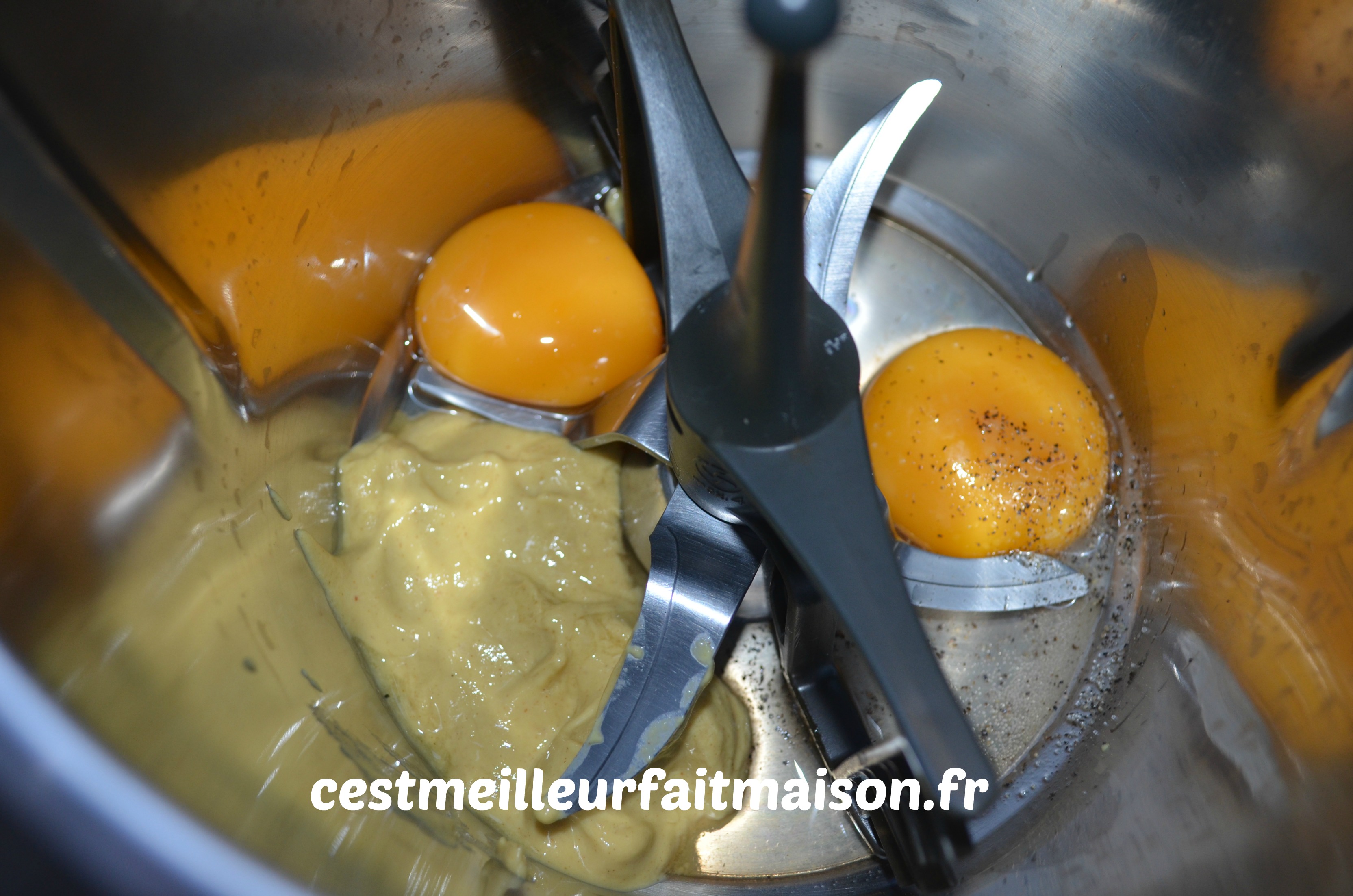 Mayonnaise thermomix