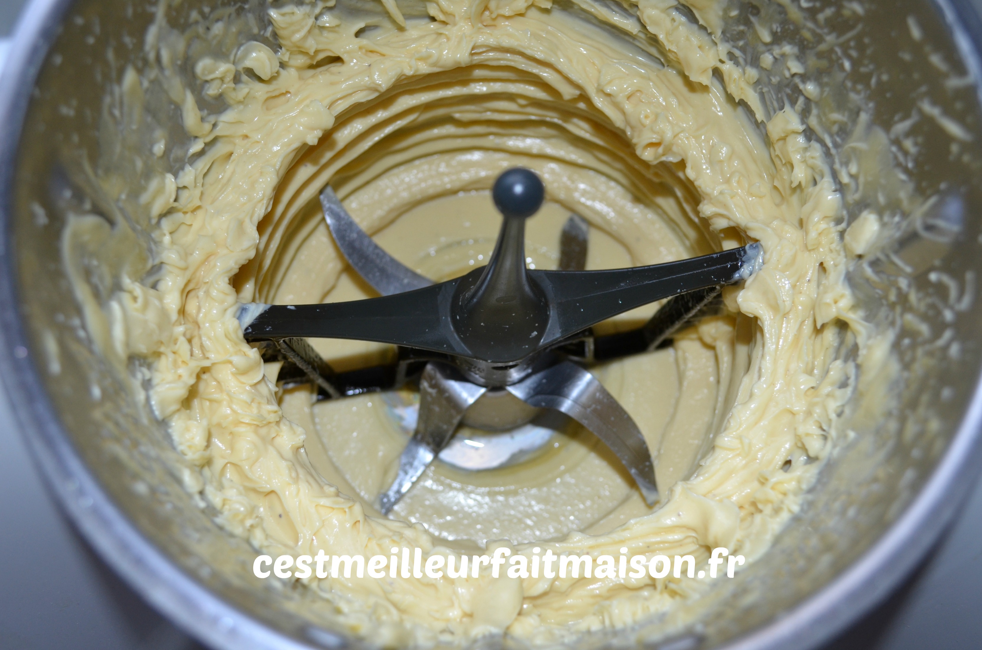 Mayonnaise thermomix