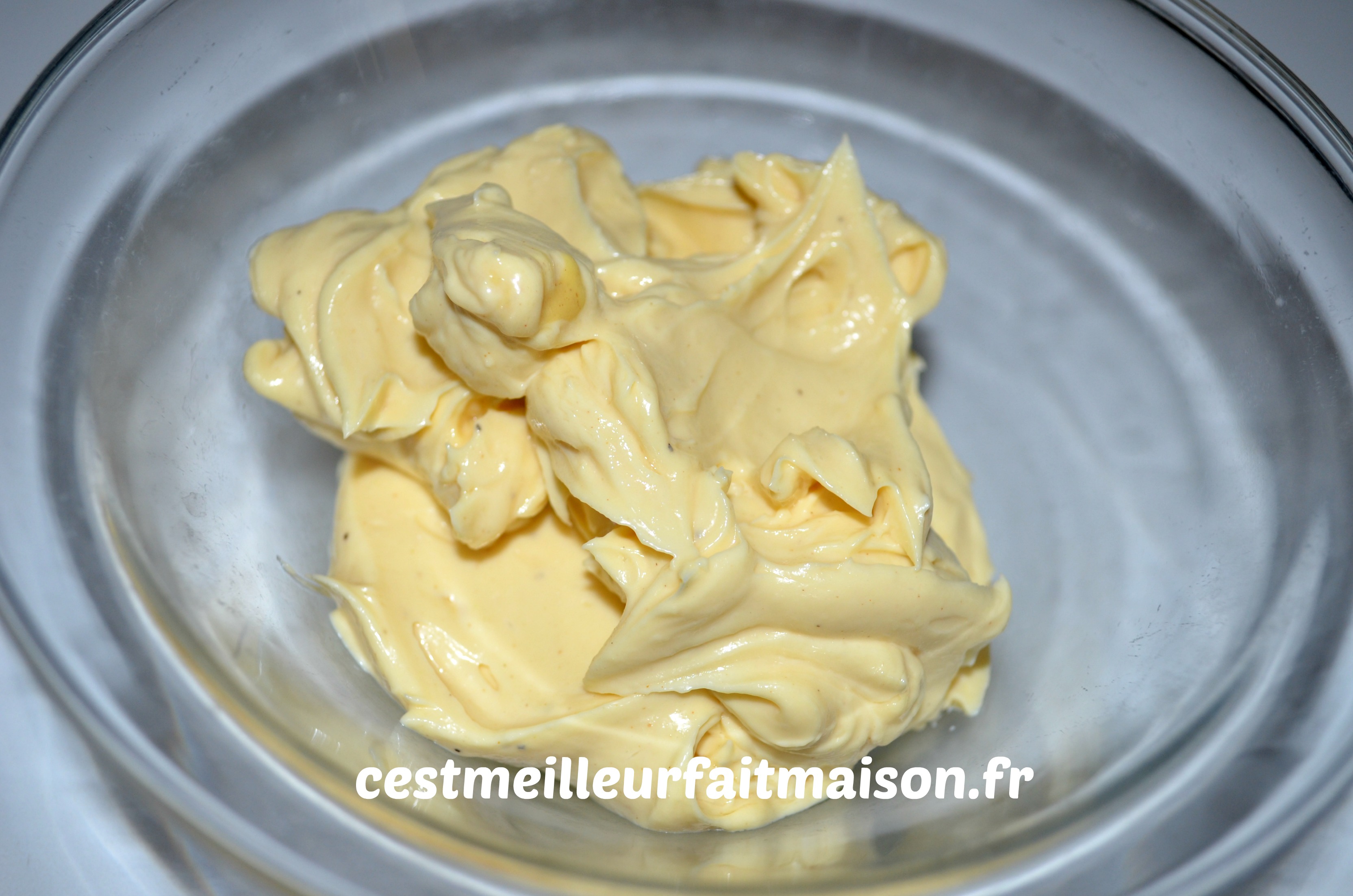 Mayonnaise thermomix