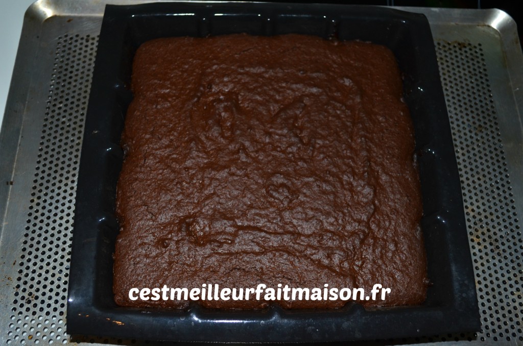 Gâteau au chocolat (sans gluten, sans œuf, sans lait) - C'est meilleur