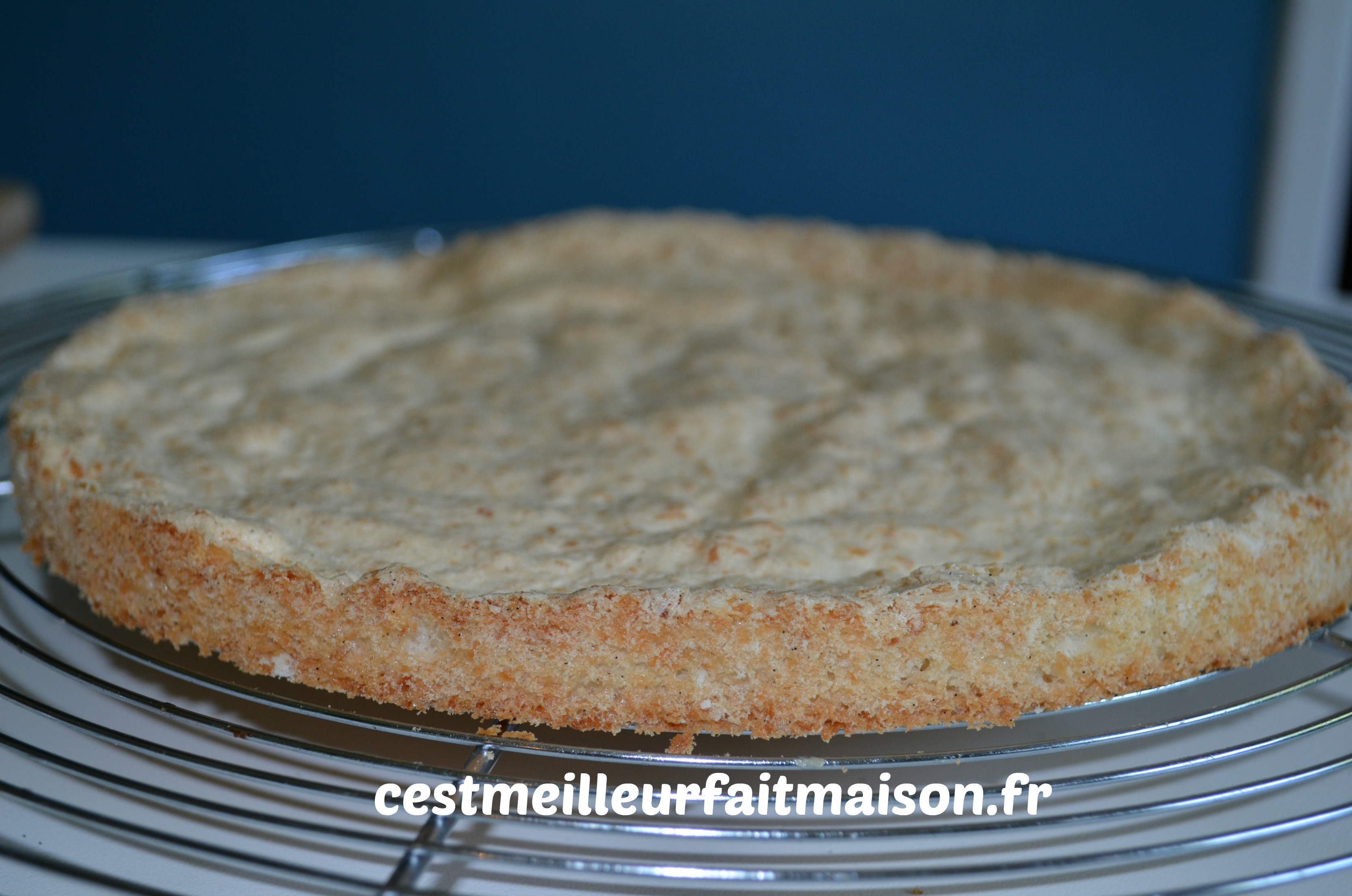 Gateau Noix De Coco Mangue Vanille C Est Meilleur Fait Maison
