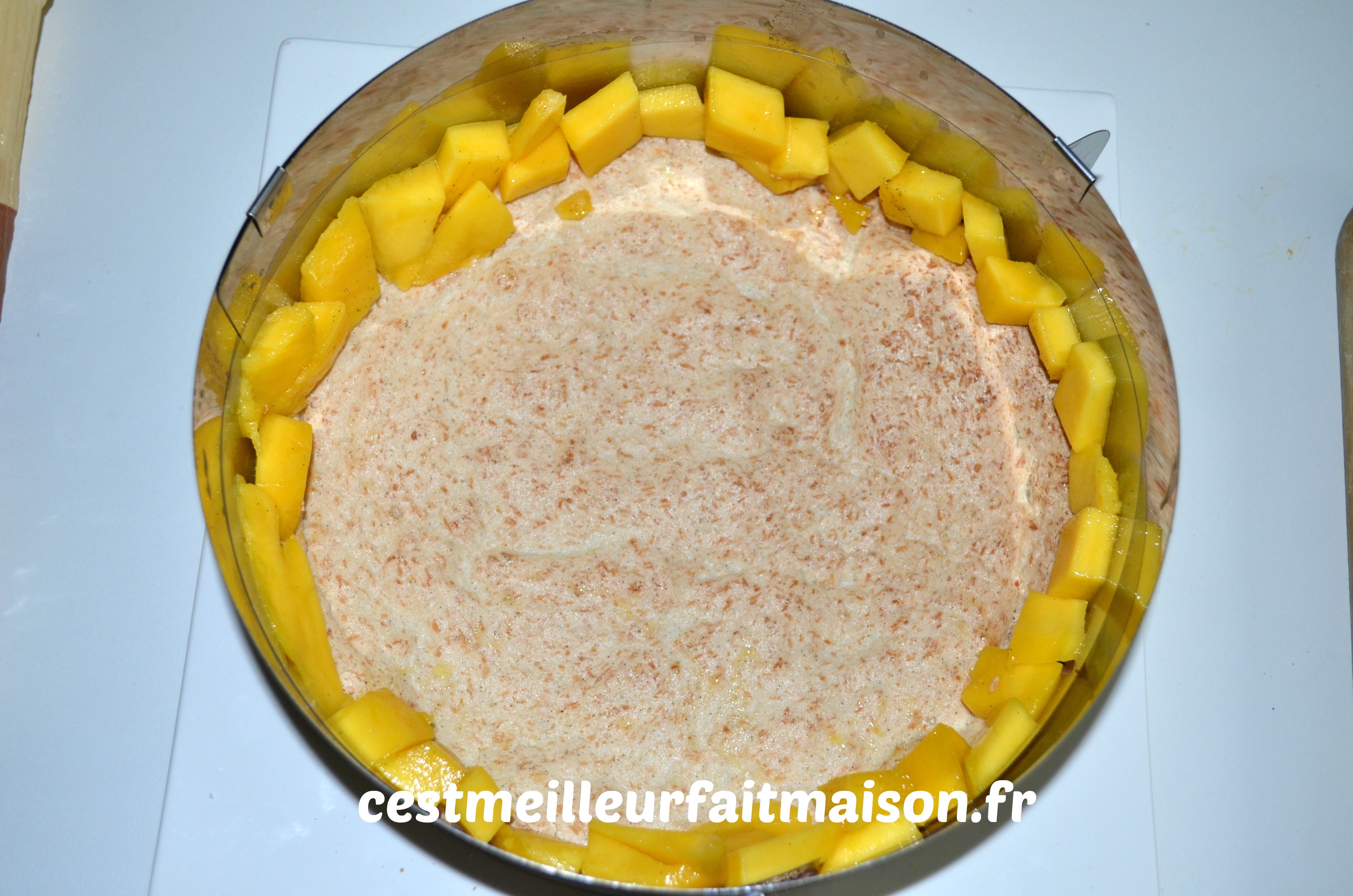 Gateau Noix De Coco Mangue Vanille C Est Meilleur Fait Maison