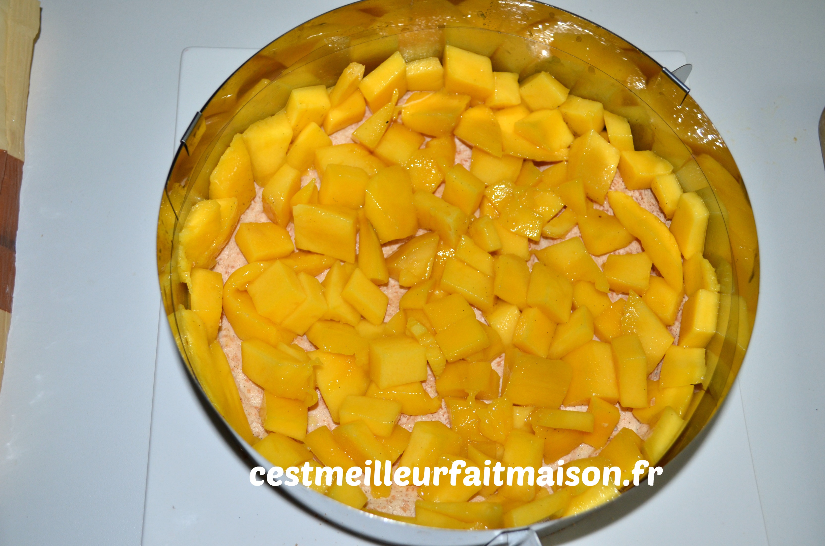 Gâteau noix de coco mangue vanille