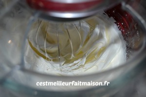 Gâteau noix de coco mangue vanille