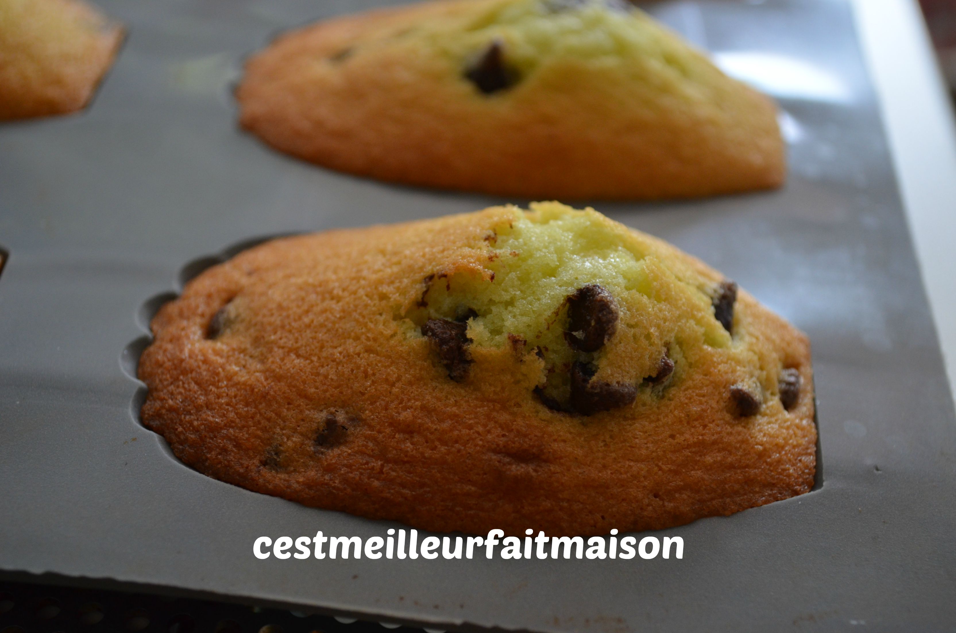 Madeleines menthe chocolat