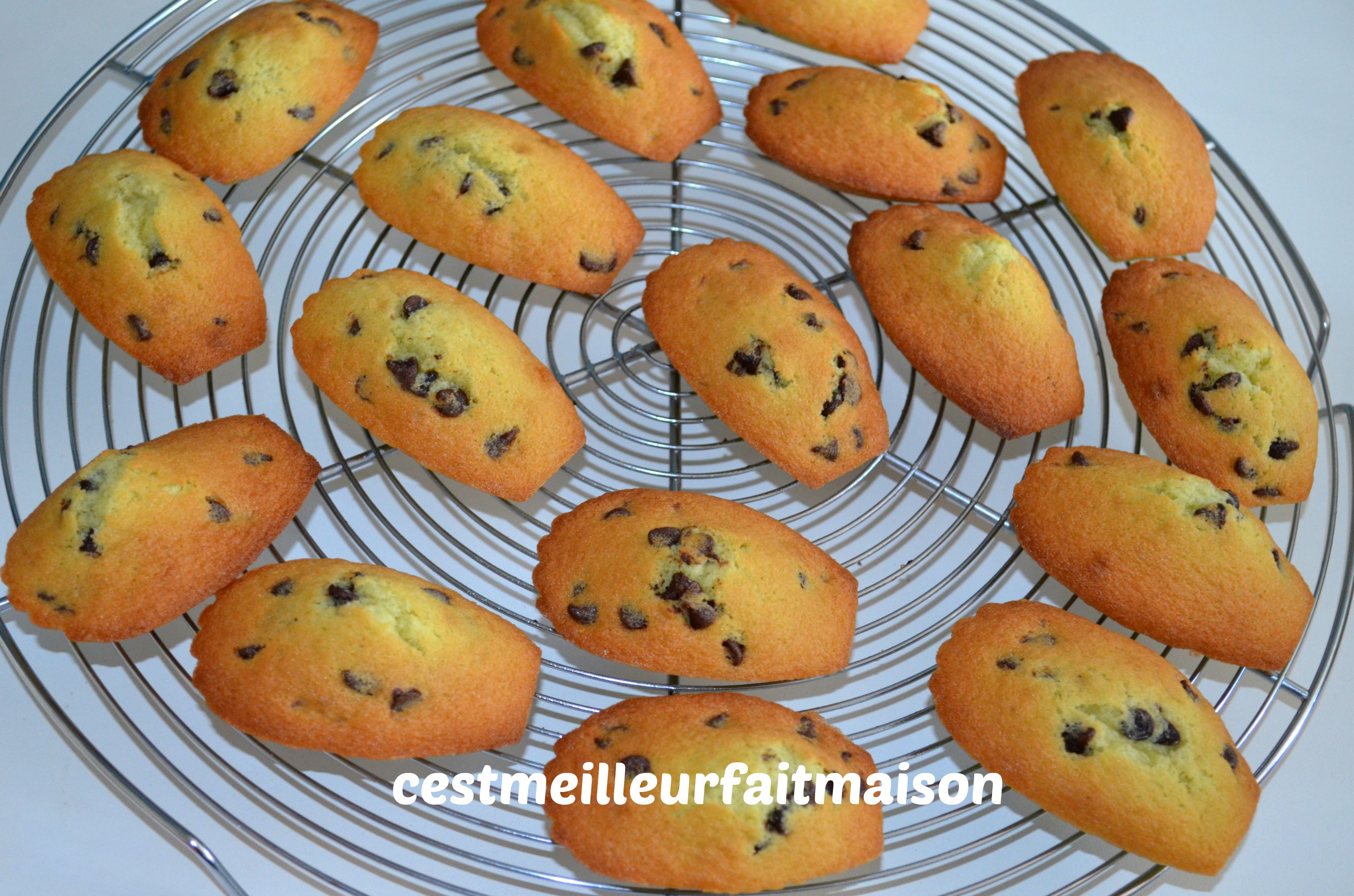 Madeleines menthe chocolat