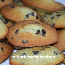 Madeleines menthe chocolat