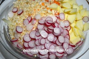 Salade vitaminée et colorée