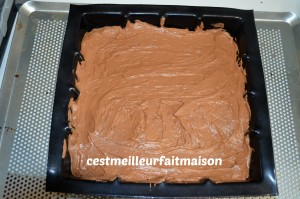 Gâteau au chocolat et aux petits suisses