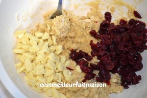 Cookies au chocolat blanc et aux cranberries