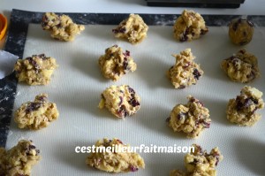 Cookies au chocolat blanc et aux cranberries