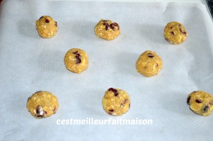 Cookies au chocolat blanc et aux cranberries