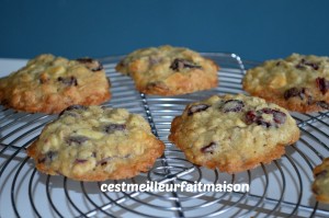 Cookies au chocolat blanc et aux cranberries