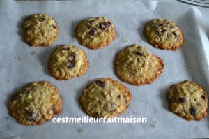 Cookies au chocolat blanc et aux cranberries