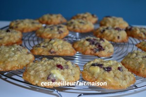 Cookies au chocolat blanc et aux cranberries