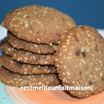 ablées aux graines (sans gluten, sans œuf, sans laitage)