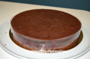 Crousti-fondant au chocolat et aux framboises