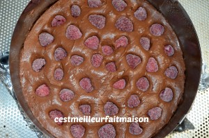 Crousti-fondant au chocolat et aux framboises