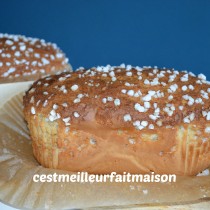 Brioche rapide sans pétrissage