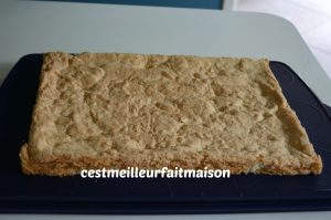 Gâteau noix de coco vanille fraise