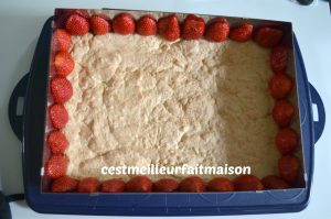 Gâteau noix de coco vanille fraise