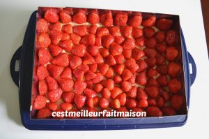 Gâteau noix de coco vanille fraise