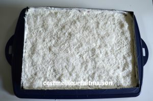 Gâteau noix de coco vanille fraise