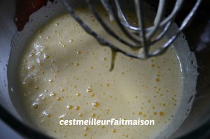 Gâteau au chocolat et à l'huile d'olive