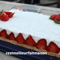 Gâteau noix de coco vanille fraise