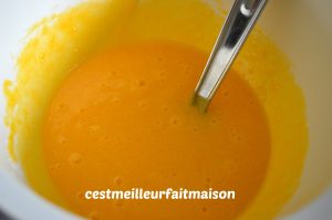 Flan au caramel (Multidélice)