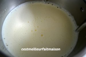 Flan au caramel (Multidélice)