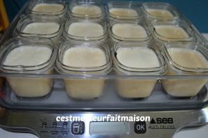 Flan au caramel (Multidélice)